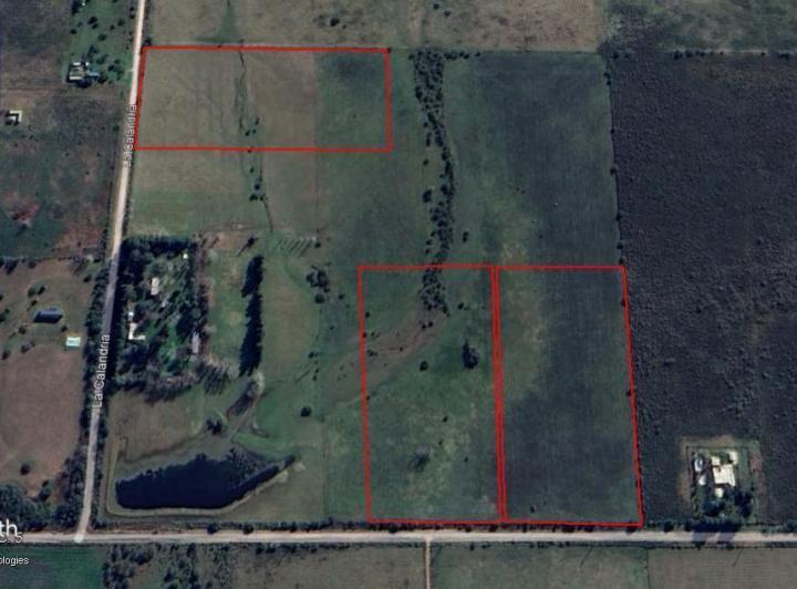 Campo · 29800ha
