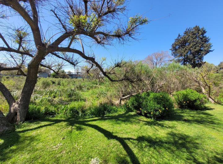 Terreno · 1000m²