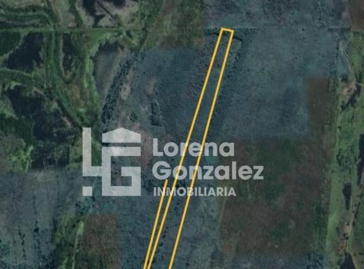 Campo · 15m² · 1 Ambiente