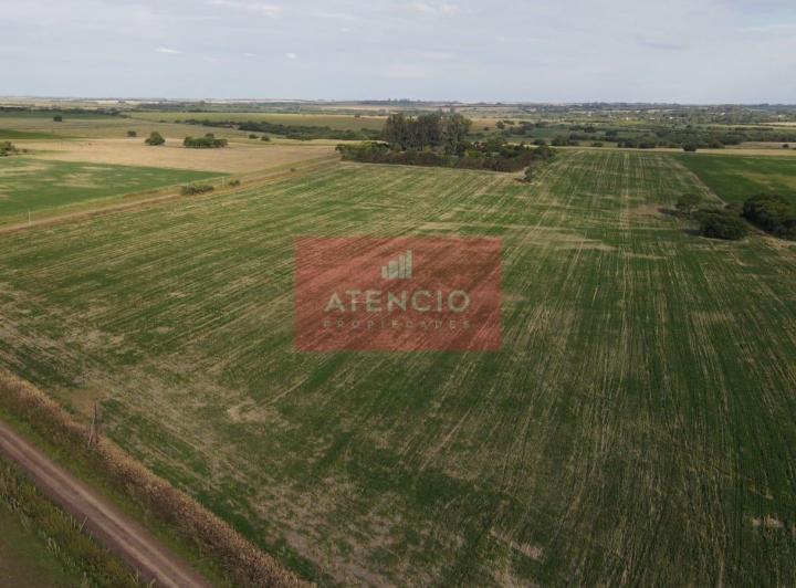 Campo · 160000m²