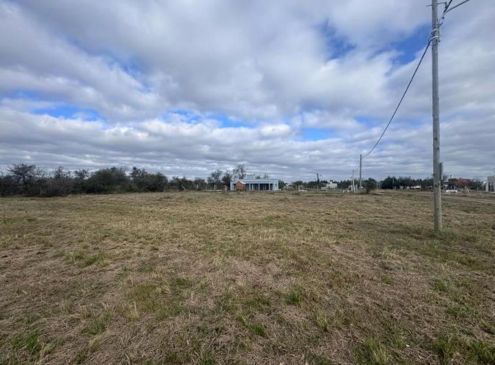 Terreno · 1231m²