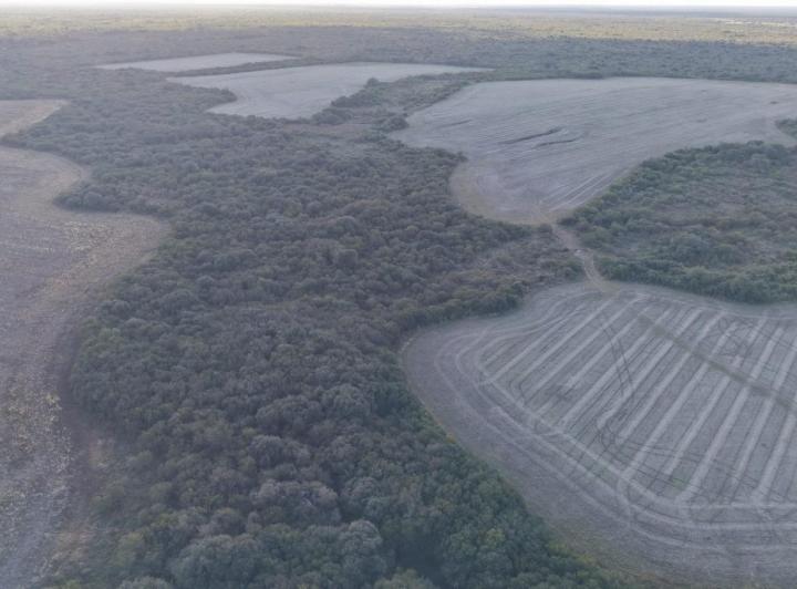 Campo · 222m²