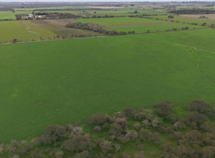 Campo · 765000m²