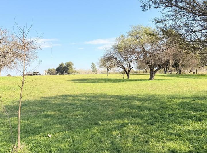 Terreno · 2048m²