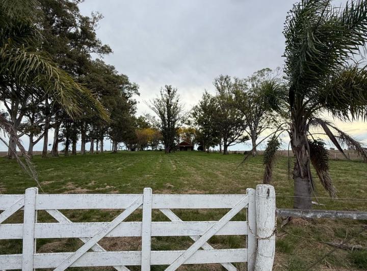 Campo · 131ha · 3 Ambientes · 1 Cochera