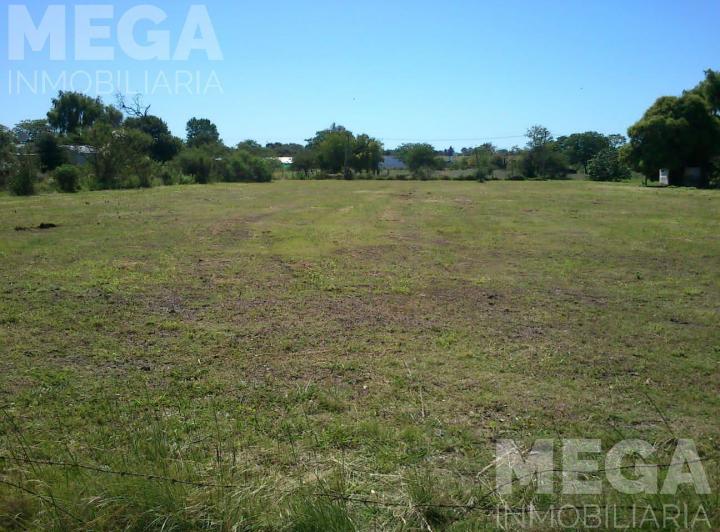 Terreno · 3000m²