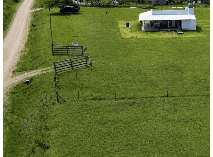 Campo · 1ha
