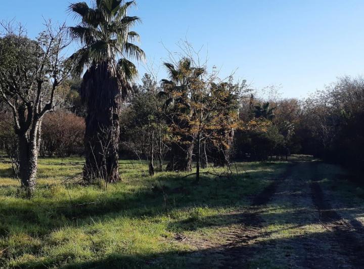 Terreno · 90000m²