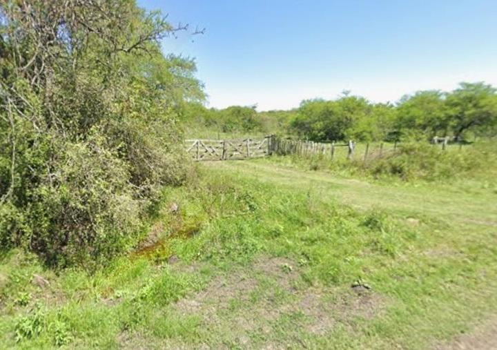 Campo · 5350000ha