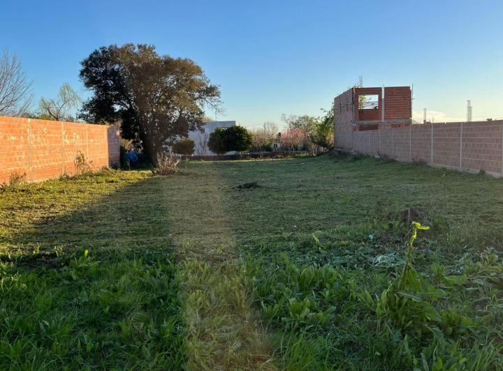 Terreno · 833m²