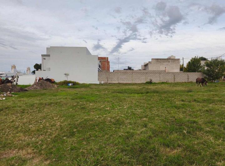 Terreno · 310m²