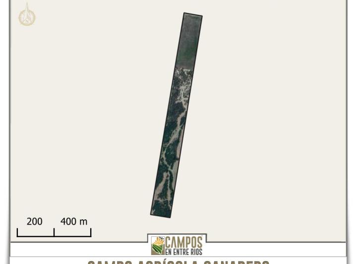 Campo · 12ha