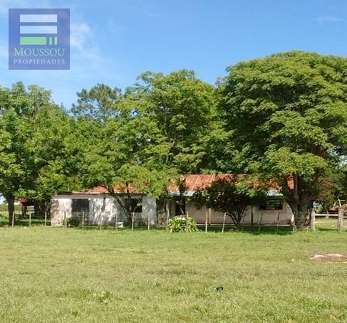 Campo · 15000000ha