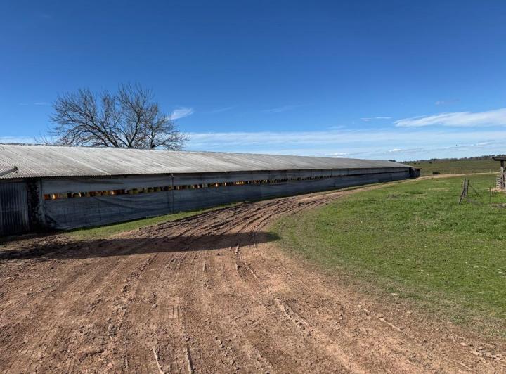 Campo · 10000m² · 2 Dormitorios · 1 Cochera