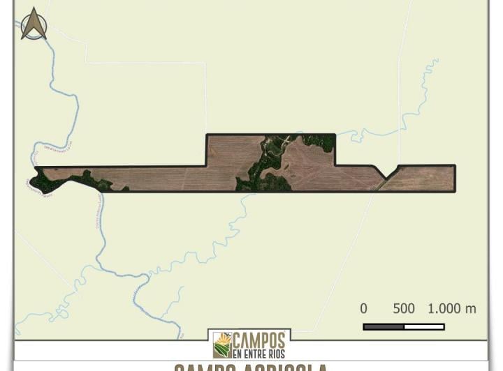 Campo · 221ha
