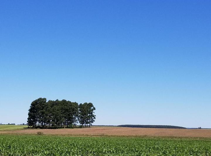 Campo · 4600000m²