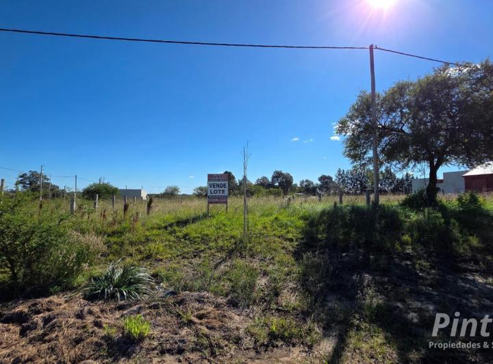 Terreno · 318m²