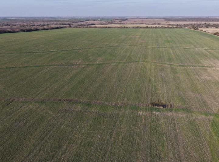 Campo · 75ha