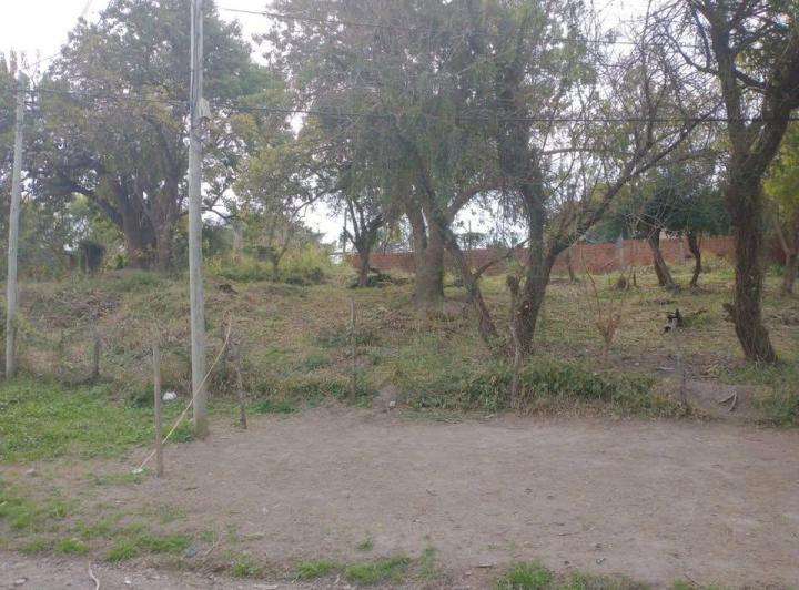 Terreno · 290m²