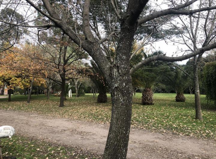 Campo · 15000m²