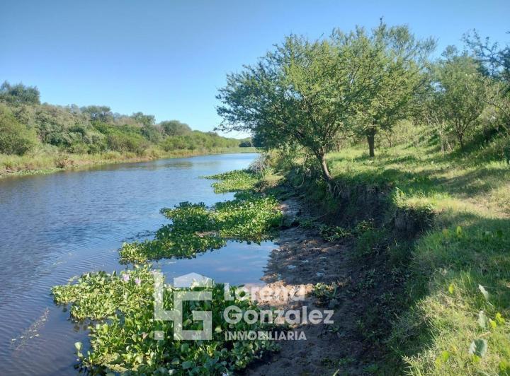 Campo · 17m² · 1 Ambiente