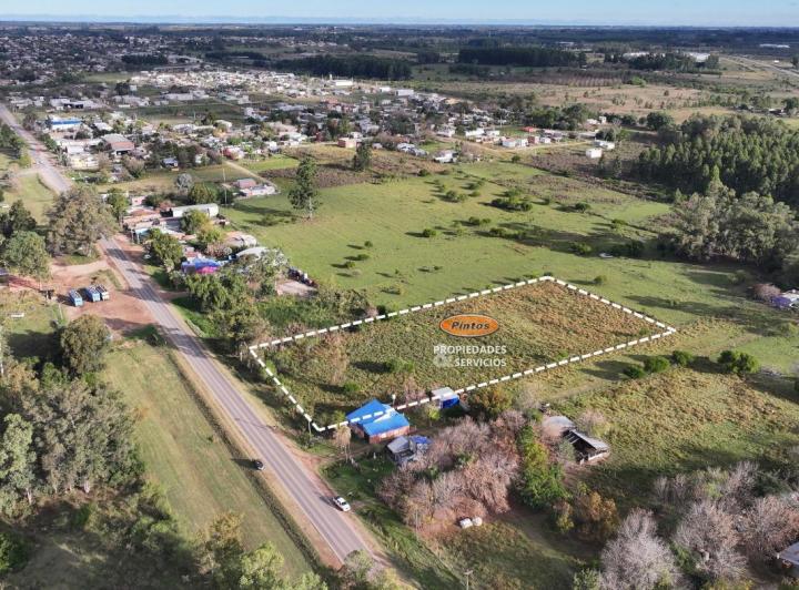 Campo · 10000m²