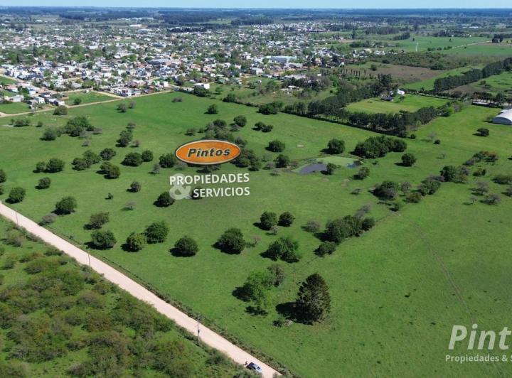 Campo · 74700m²