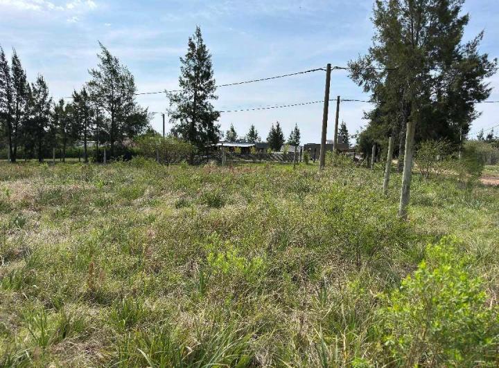 Terreno · 1000m²