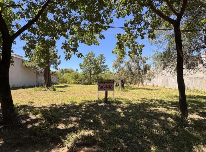 Terreno · 462m²