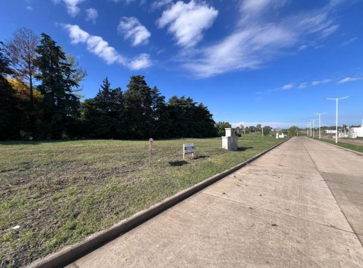 Terreno · 604m²