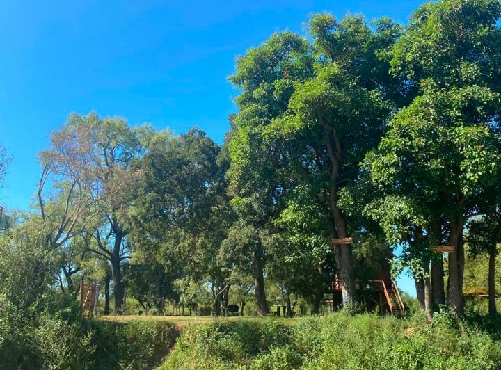 Terreno · 1000m²