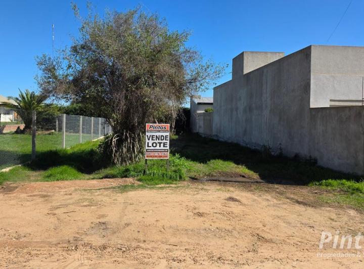 Terreno · 339m²