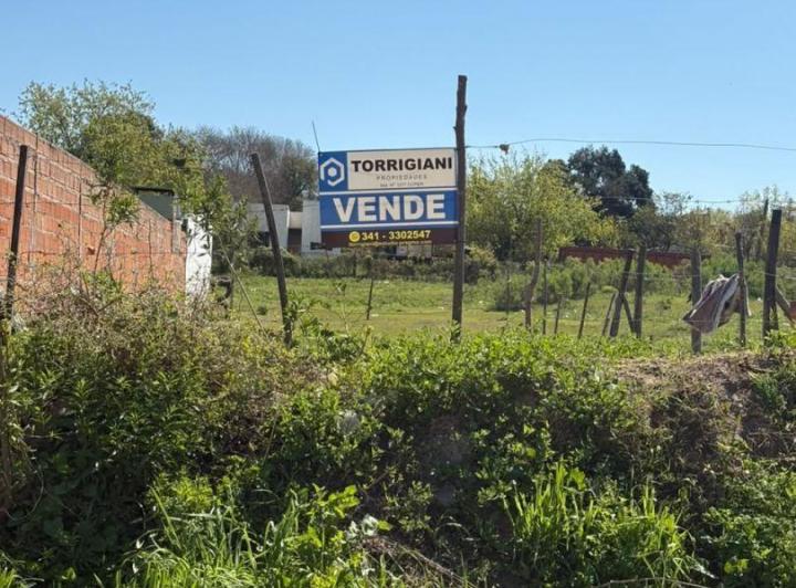 Terreno
