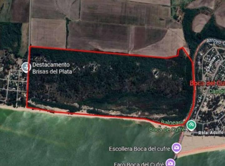 Campo · 97m²