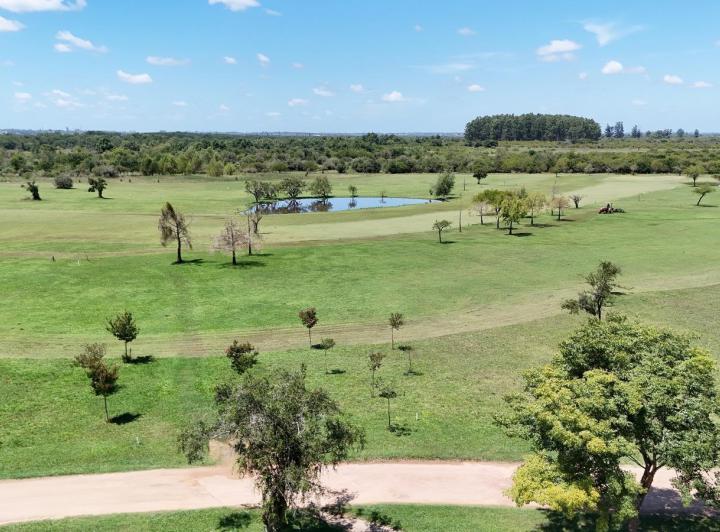 Terreno · 972m²