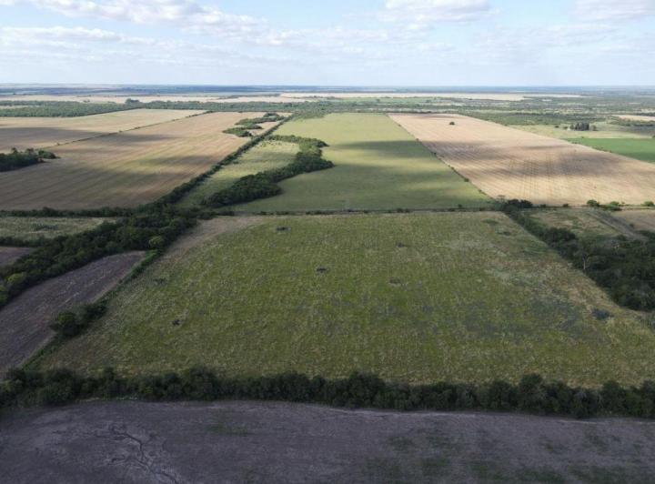 Campo · 65m²