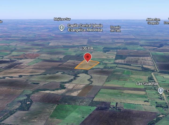 Campo · 360000m²