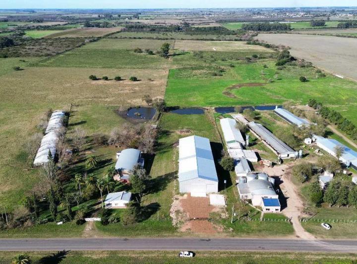 Bodega-Galpón · 1200m²