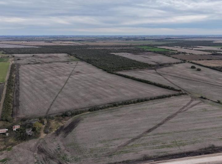 Campo · 170ha
