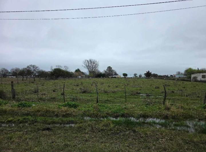 Terreno · 5000m²