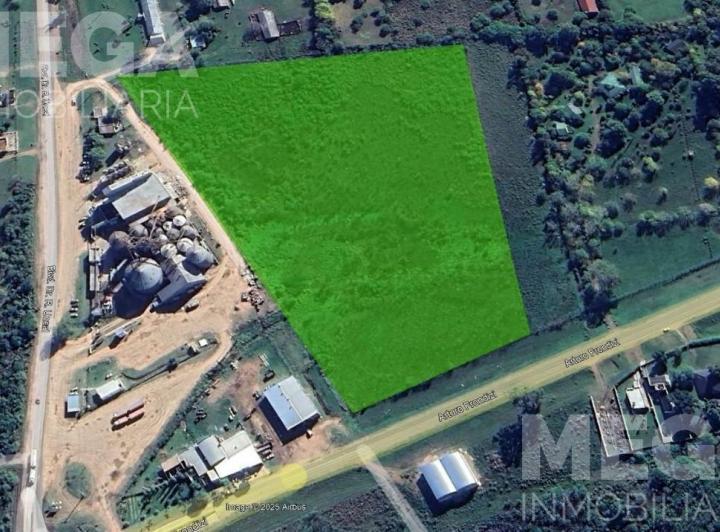 Campo · 50000m²