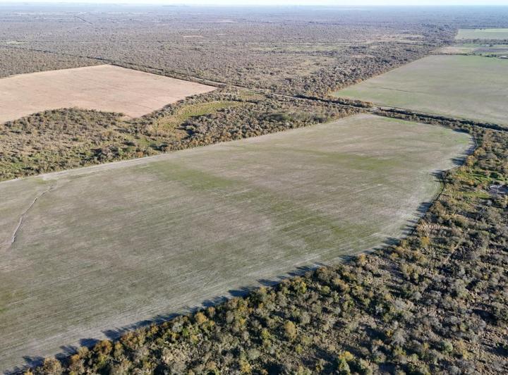 Campo · 5500ha