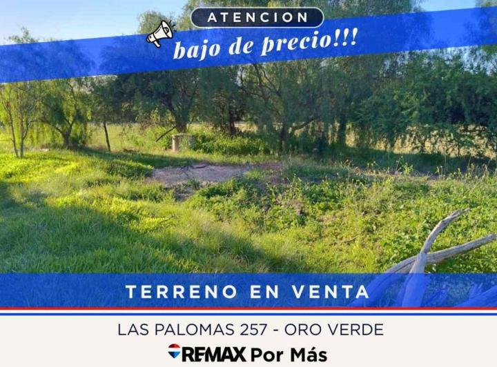 Terreno · 250m²