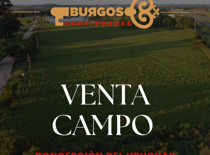 Campo · 1m²
