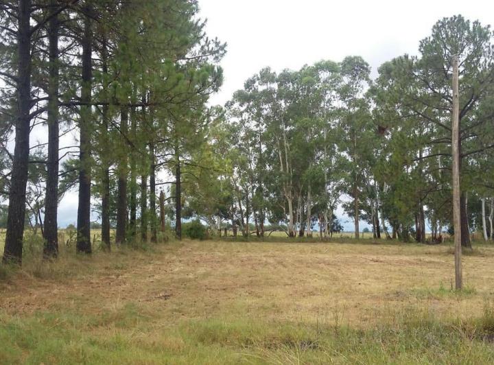 Terreno · 472m²