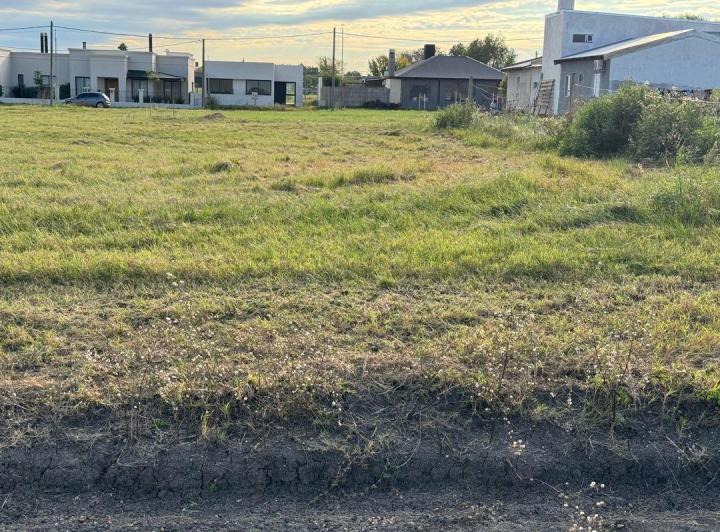 Terreno · 237m²