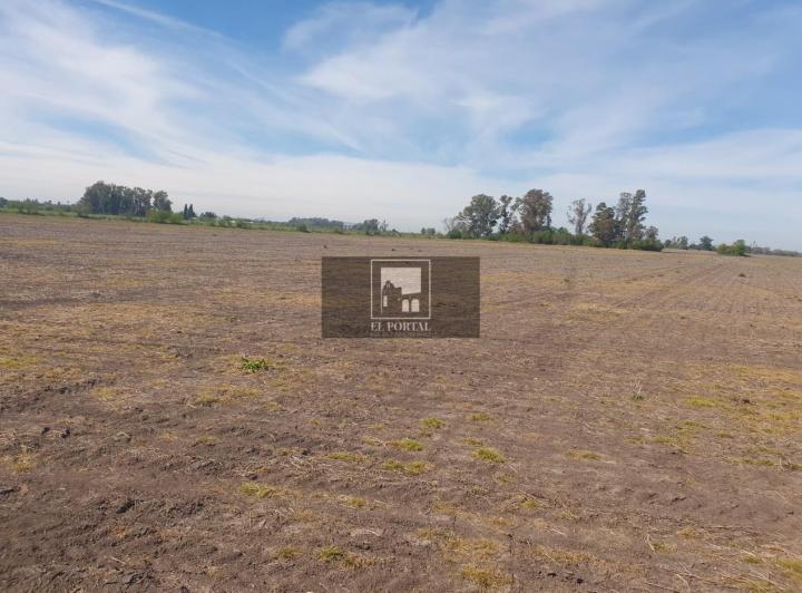 Campo · 1120000m²