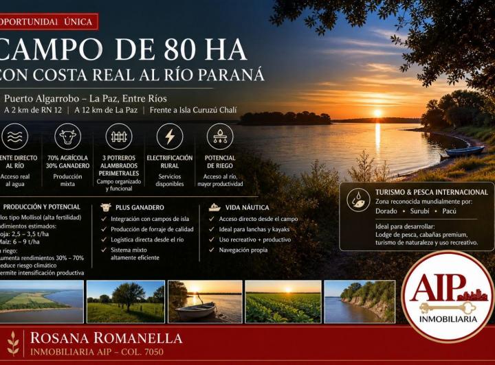 Campo