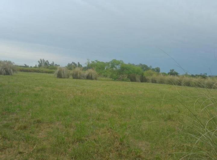 Terreno · 3310m²