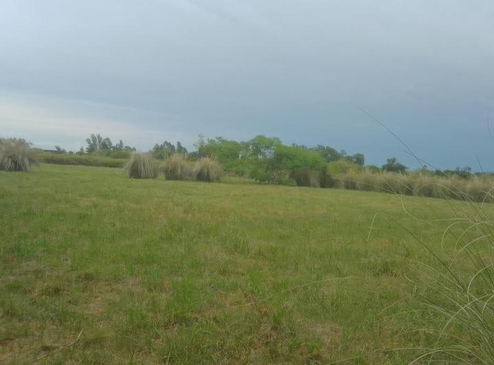 Terreno · 6621m²